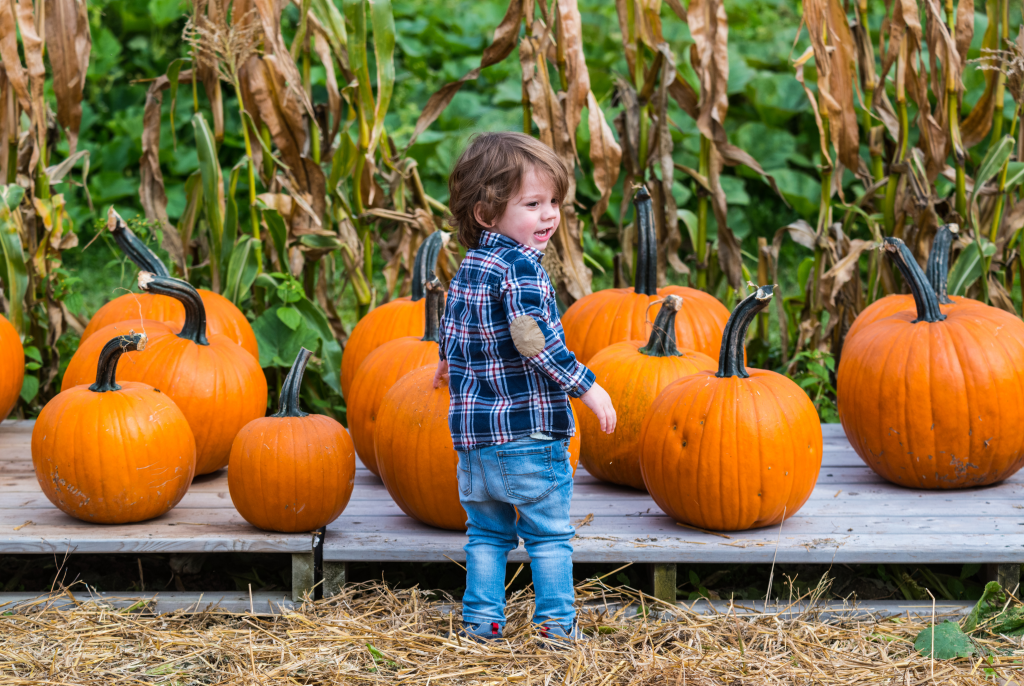 Fall Fun Activities - The Nest Schools - The Nest Schools