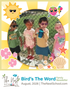 4 children in sunglasses standing in front of a metal, black fence all wearing different shades of sunglasses, the design around them is a circle edited to look like sun rays, with summer fun icons around it like flowers and stars, sea shells, the nest schools logo and newsletter name birds the word family newsletter below